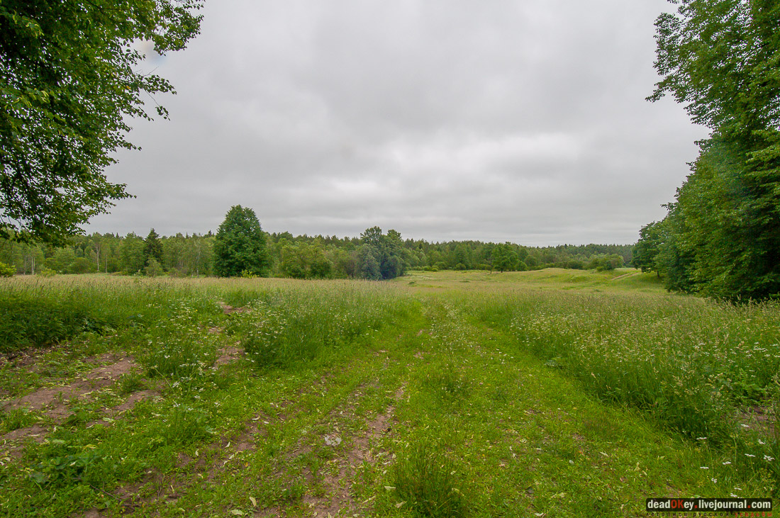усадьба Никольское-Черенчицы