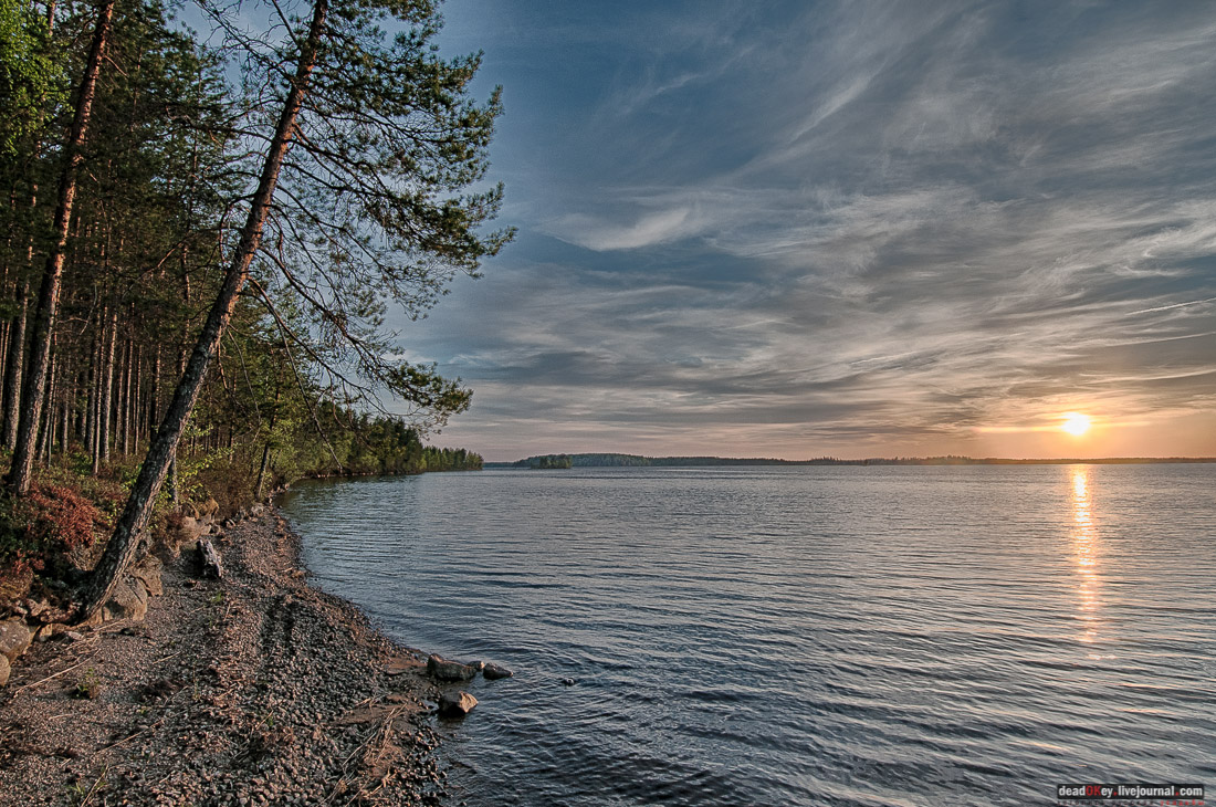 Россия, Карелия, Кондопожский район, Вендеры, Сяпчозеро, Спасская Губа