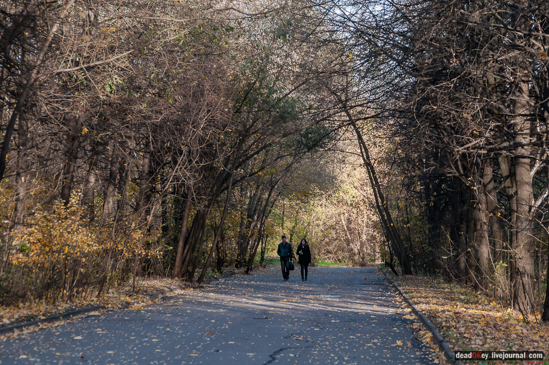 Вокруг Кусково