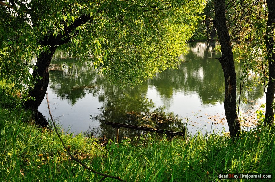 усадьба Богословское-Могильцы