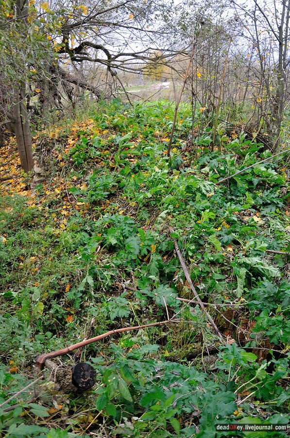 усадьба Авчурино