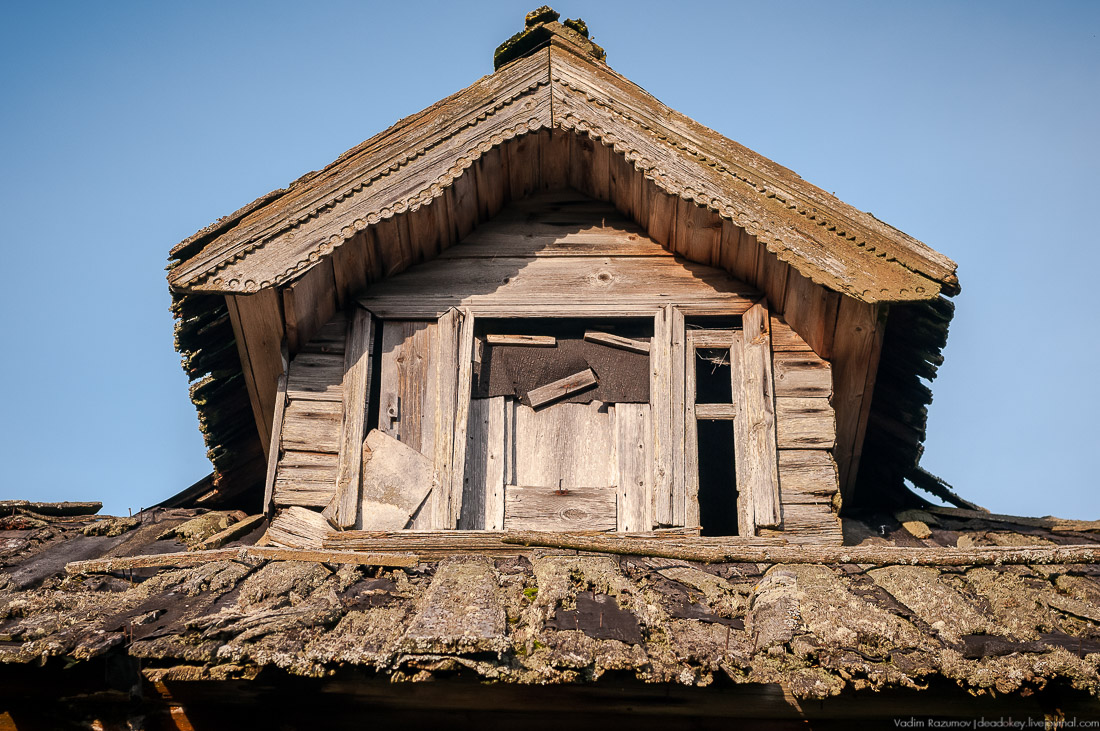дер. Кучепалда, Архангельская обл.