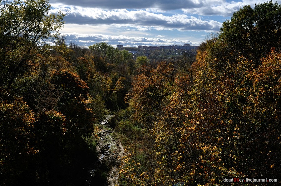усадьба Золотарева, г. Калуга, ул. Пушкина д.14
