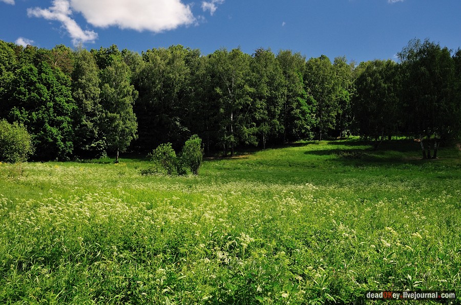 усадьба Братцево