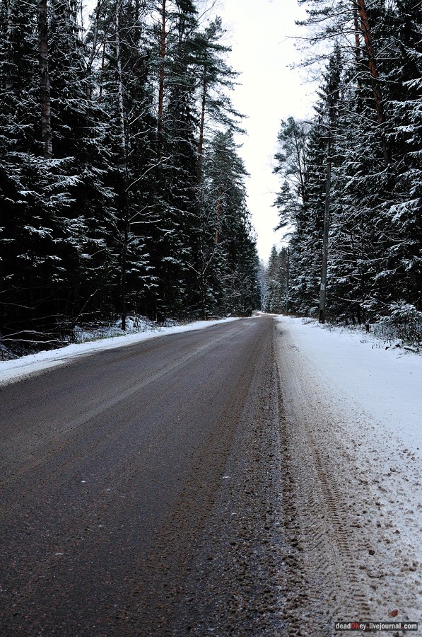 усадьба Медное-Власово