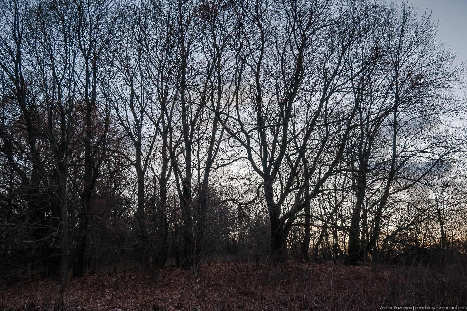 усадьба Мильшино поручика Ржевского, Тульская область