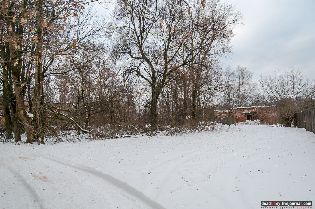 усадьба Гребнево, больничный комплекс