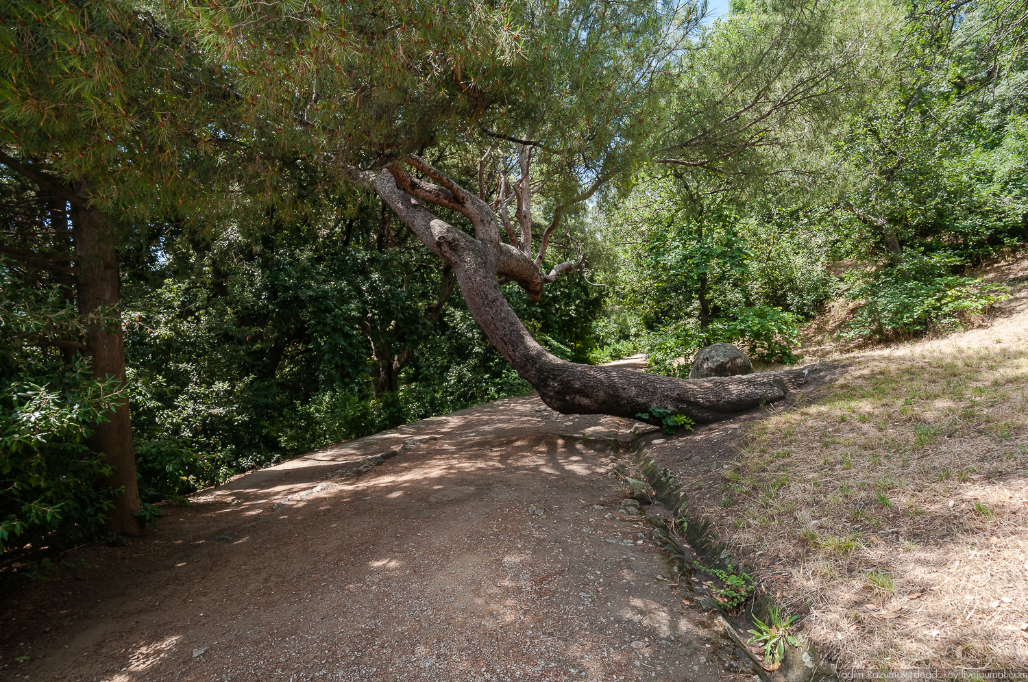 Алупка, Воронцовский дворец, Крым