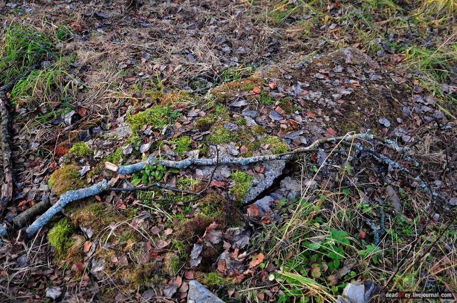 усадьба Бережки