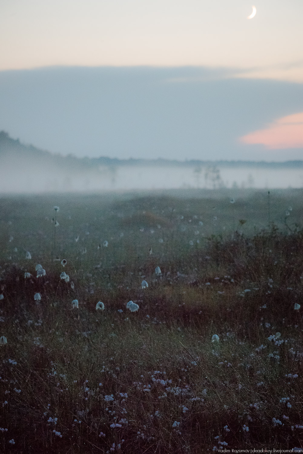 Центрально-лесной государственный природный биосферный заповедник, Нелидовский район, Тверская область, пос. Заповедный