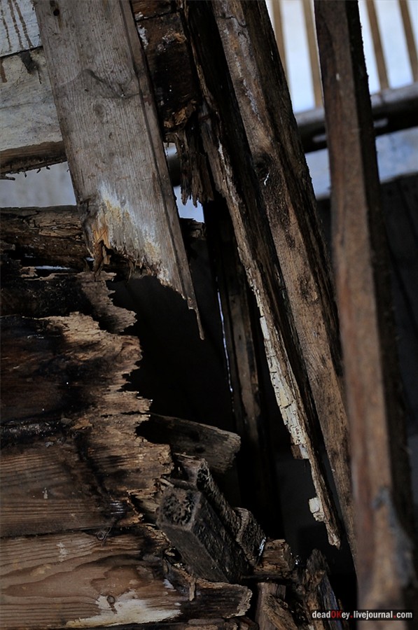 усадьба Костино Сабашниковых