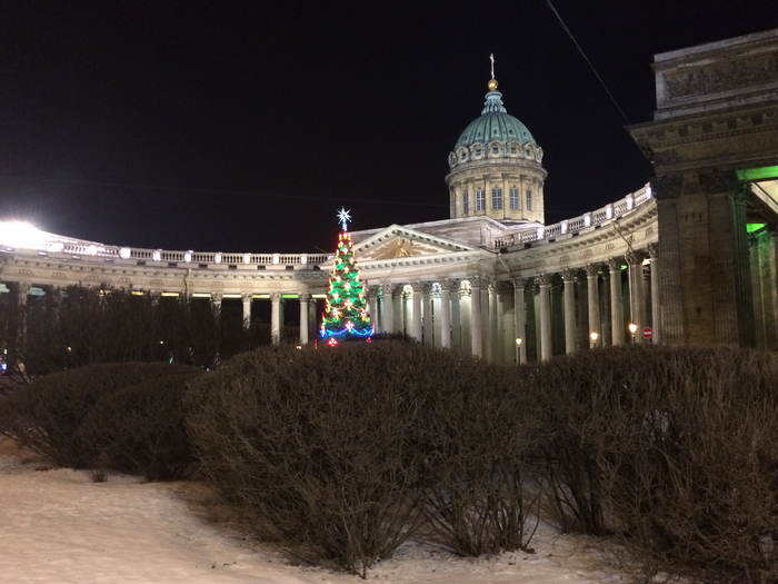 IMG_7085 (700x525, 347Kb)