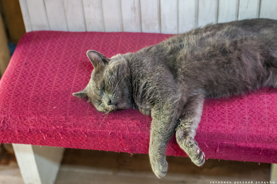 Усадьба Дворяниново. Кот. Летопись русской усадьбы.