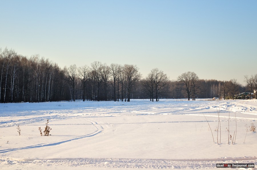усадьба Старбеево
