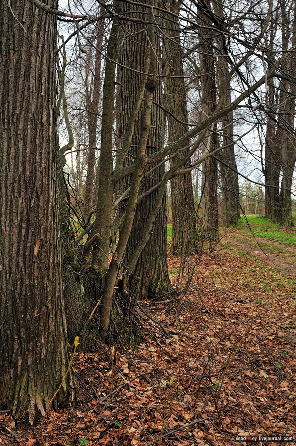 усадьба Антипино