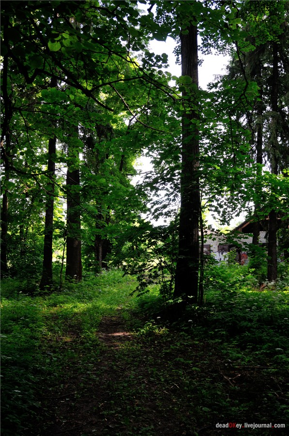 усадьба Дубки