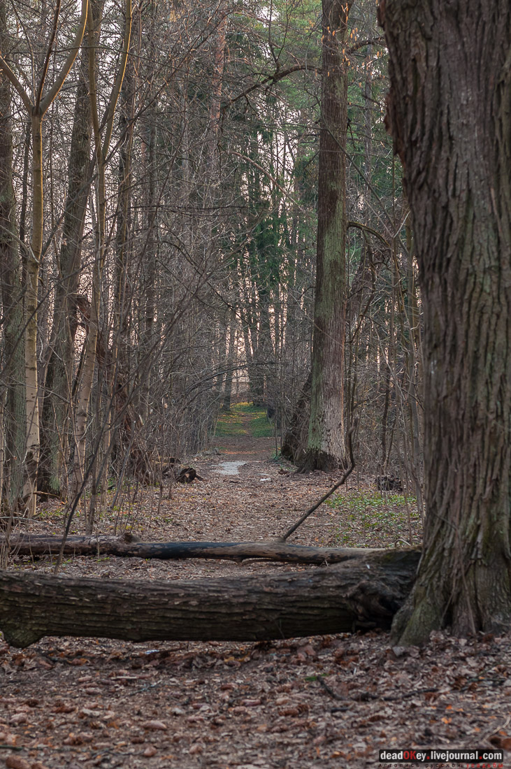 усадьба Никольское-Урюпино