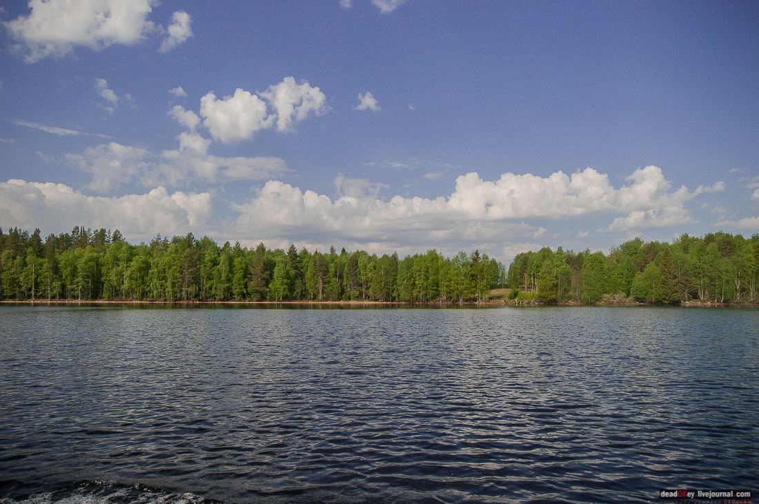 заброшенная деревня Сяпчозеро, Карелия, Кондопожский район