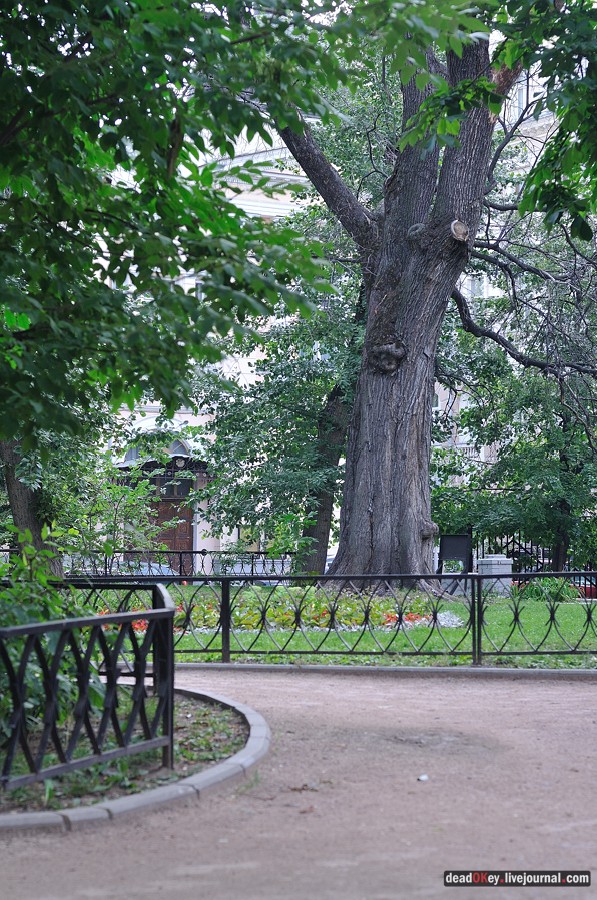 ул. Поварская д.17-19 усадьба капитана Федора Ржевского