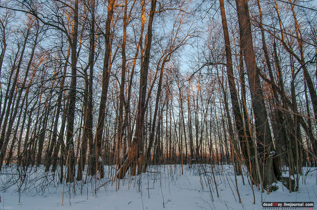 усадьба Удино