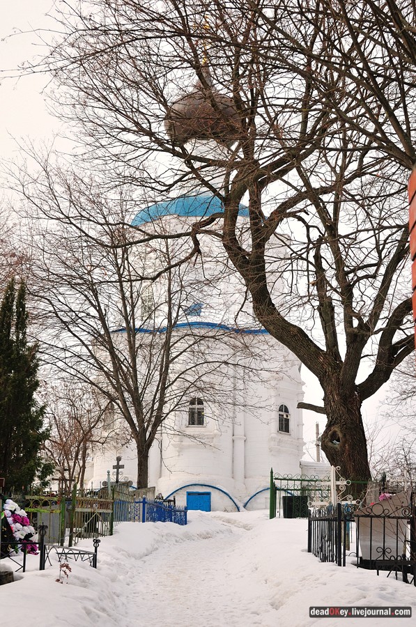 усадьба Кривцы