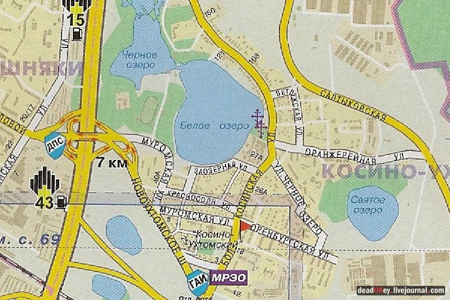 усадьба Косино