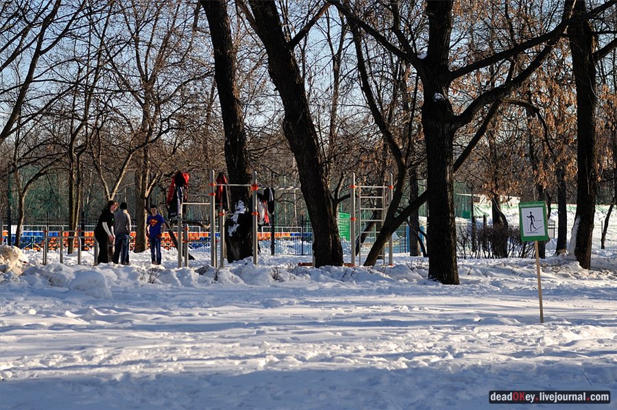 усадьба Перово