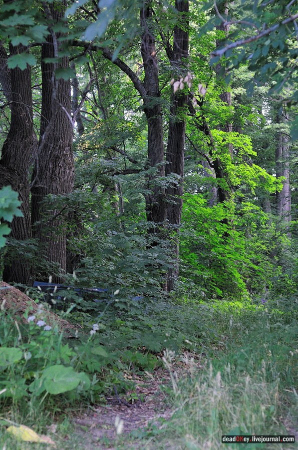 усадьба Клины