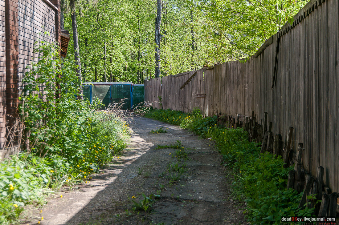 усадьба Мамоново, Сколково, Гусева полоса