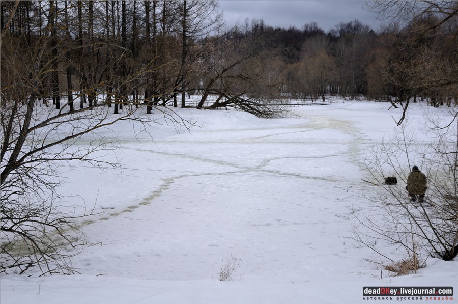 усадьба Александровка (Лопаткино)