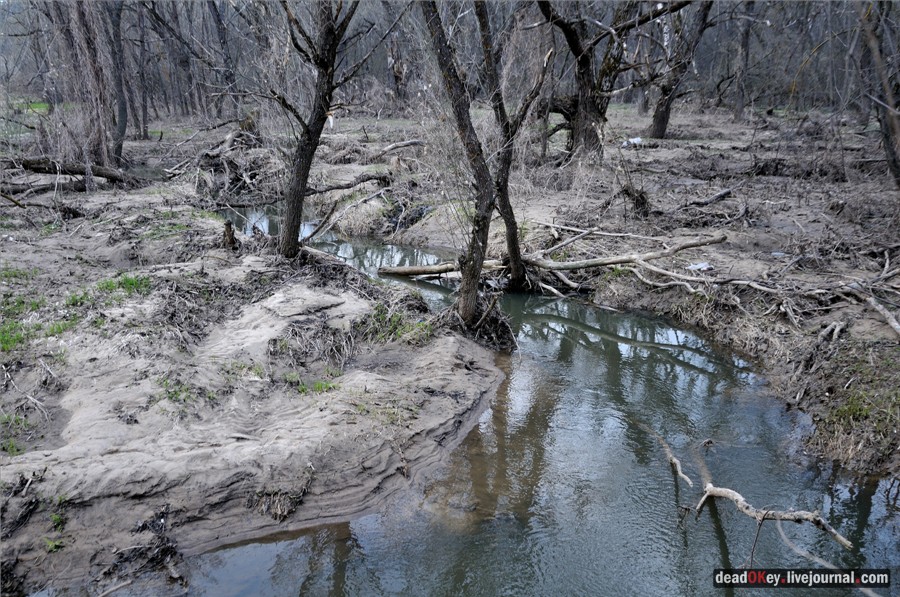 усадьба Городня