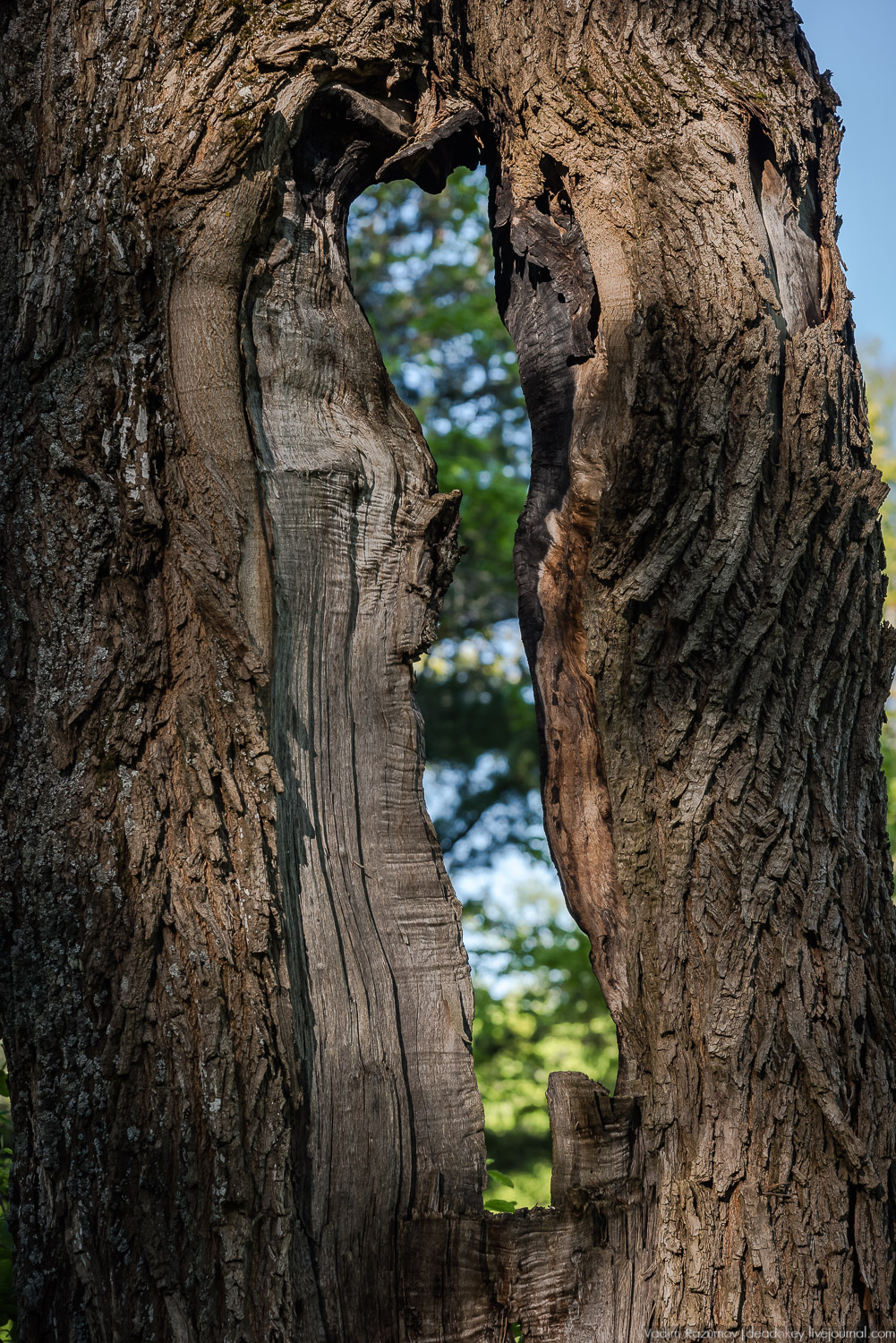 усадьба Воронино