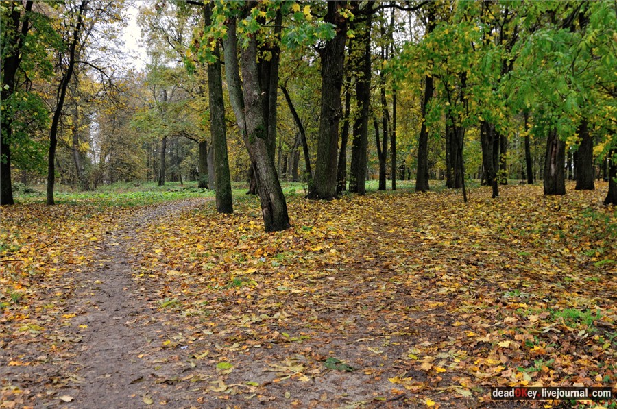 усадьба Сима