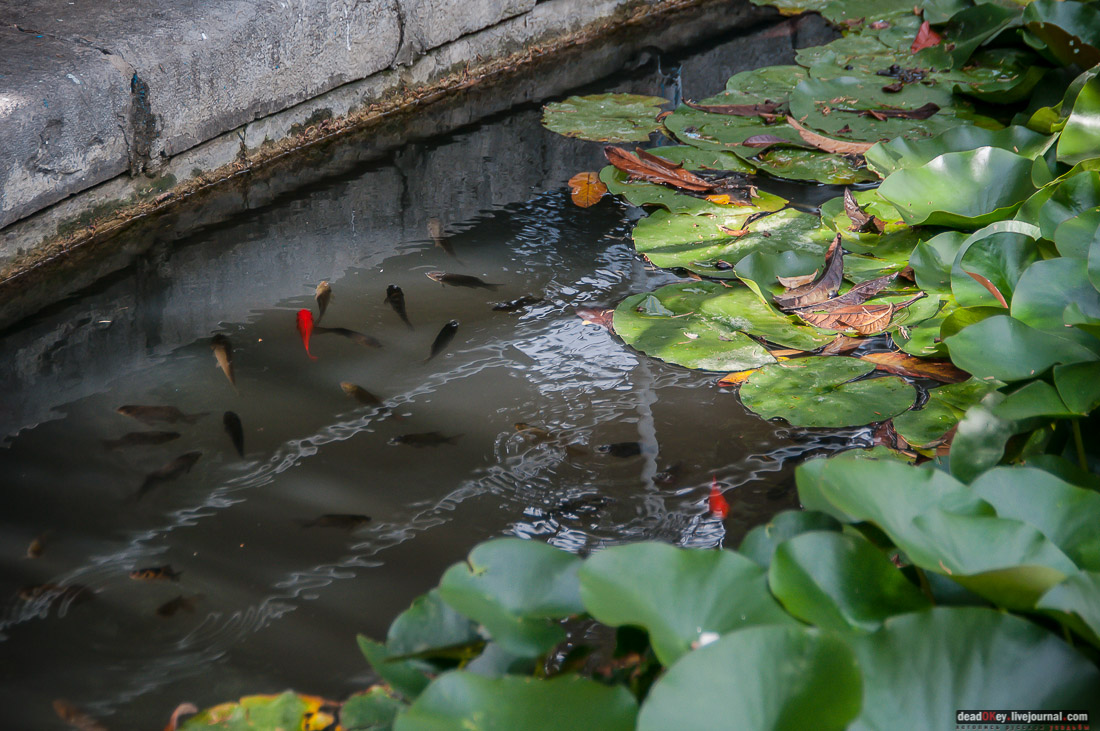 усадьба дворец Дюльбер великого князя Петра Николаевича