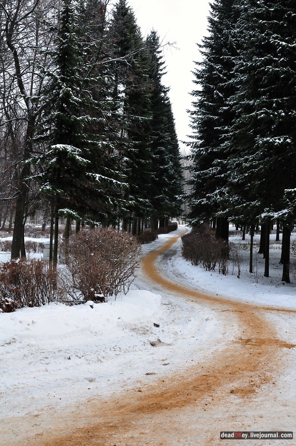усадьба Быково