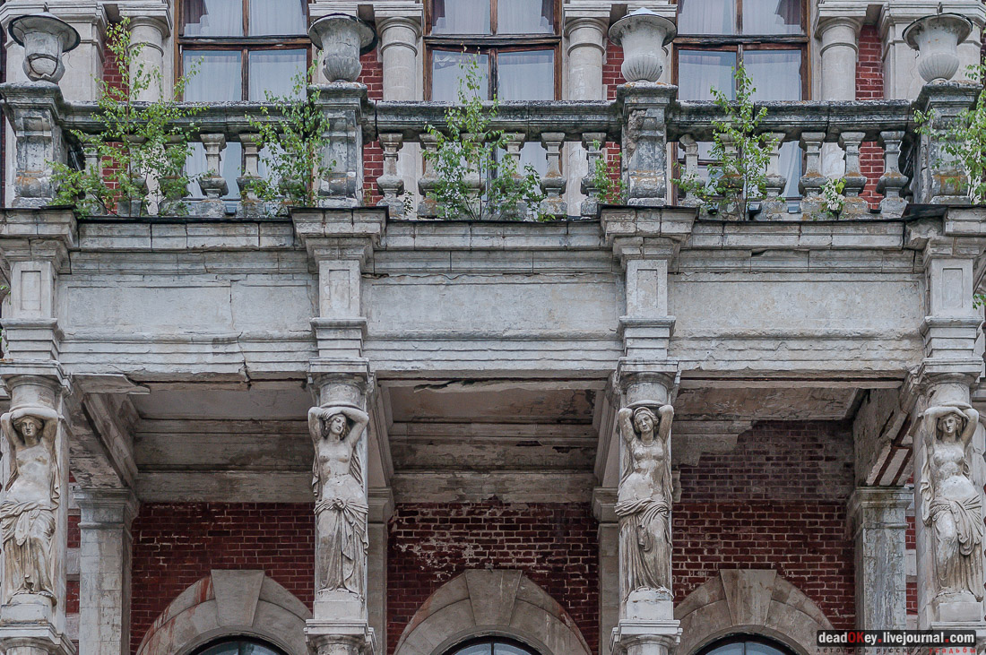 усадьба Быково, пресс-релиз встречи волонтеров