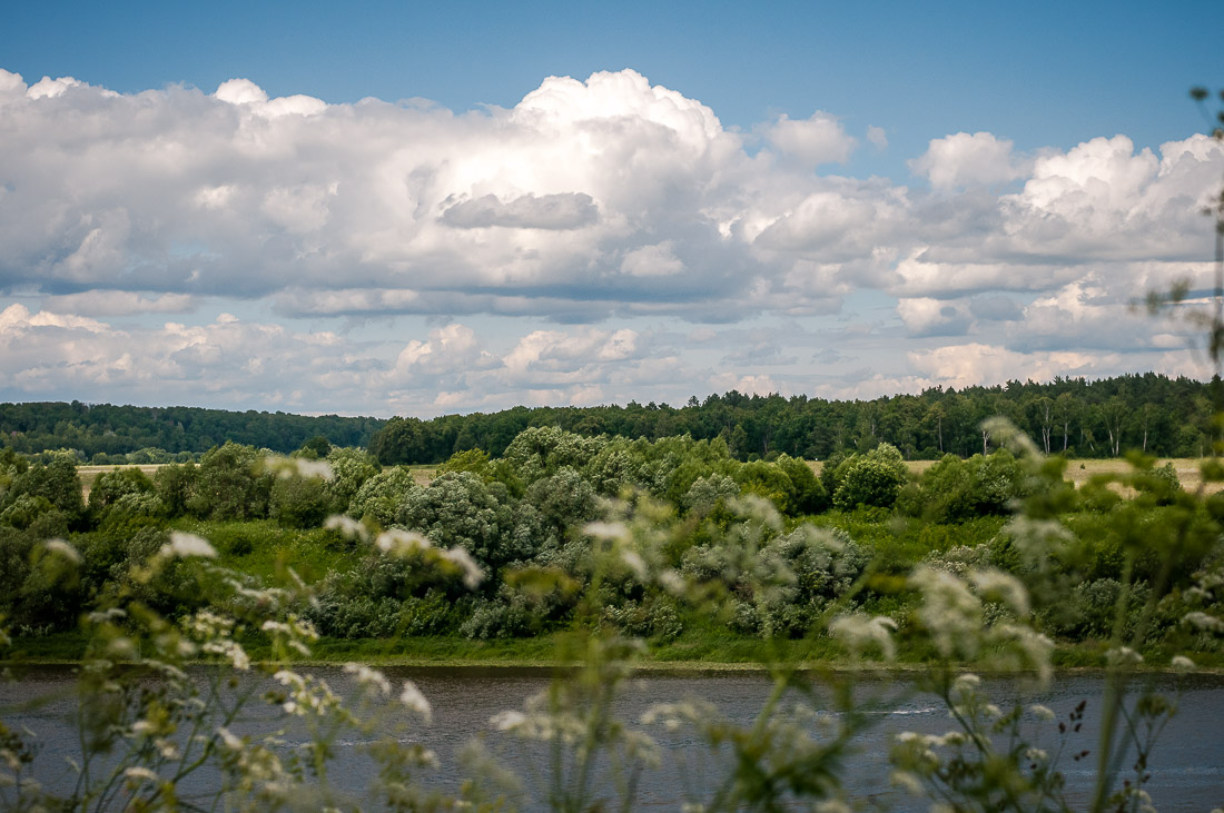 Таруса