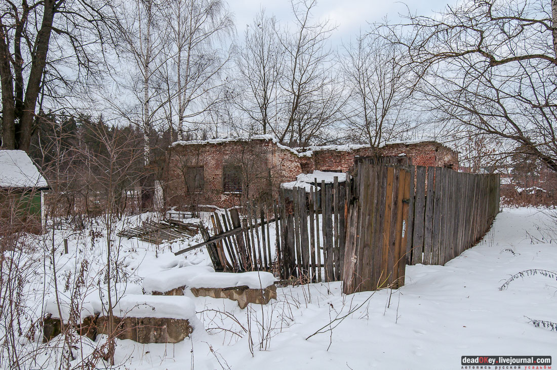 усадьба Гребнево, больничный комплекс