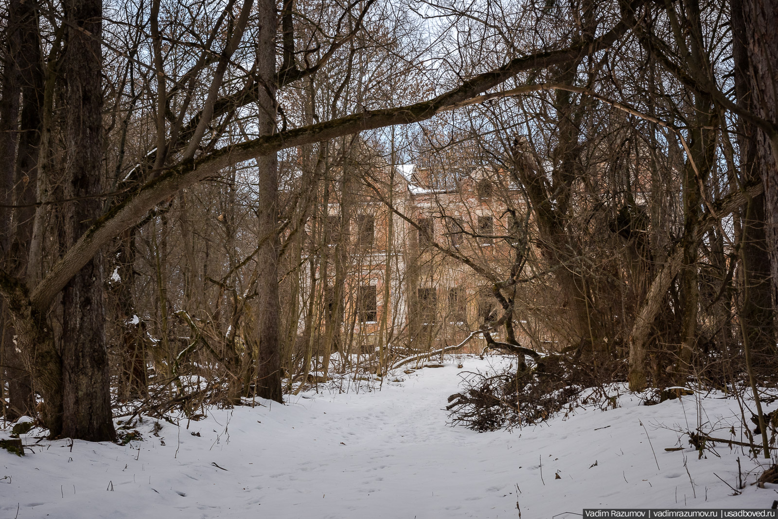 усадьба Хрусловка, Тульская область, Веневский район, зима 2020 год