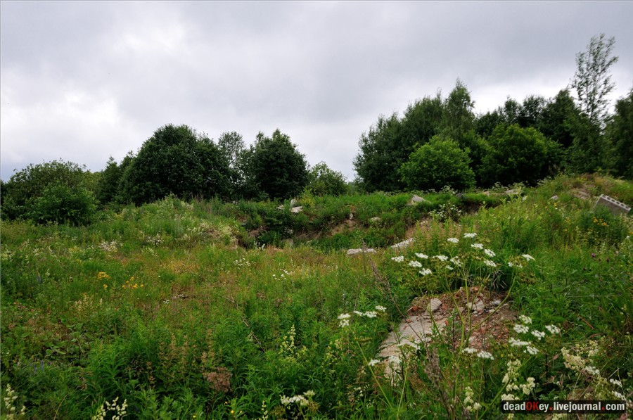 усадьба Фуникова Гора Прокудина-Горского