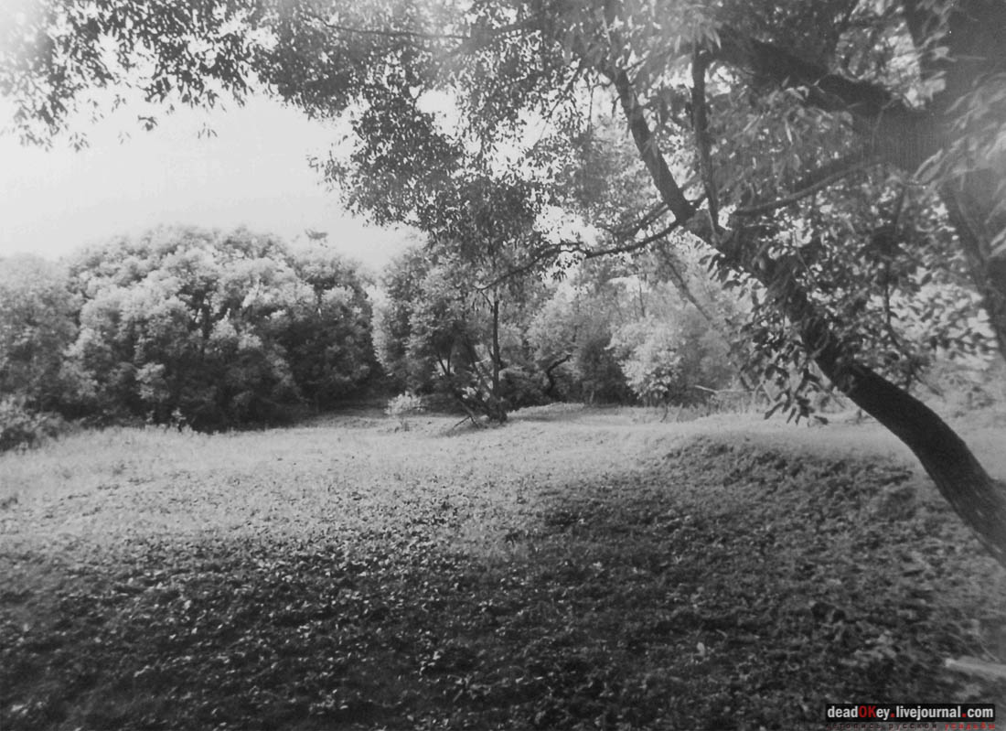 усадьба Тарасково, Каширский район, реставрация, ASG