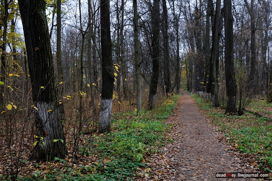 усадьба Глинки