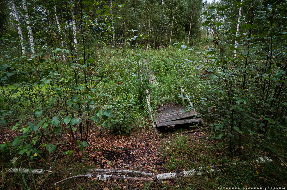 Экоэлектричка на родину журавлей в Талдомский район