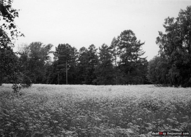 усадьба Пронино