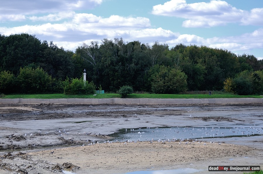 усадьба Кусково