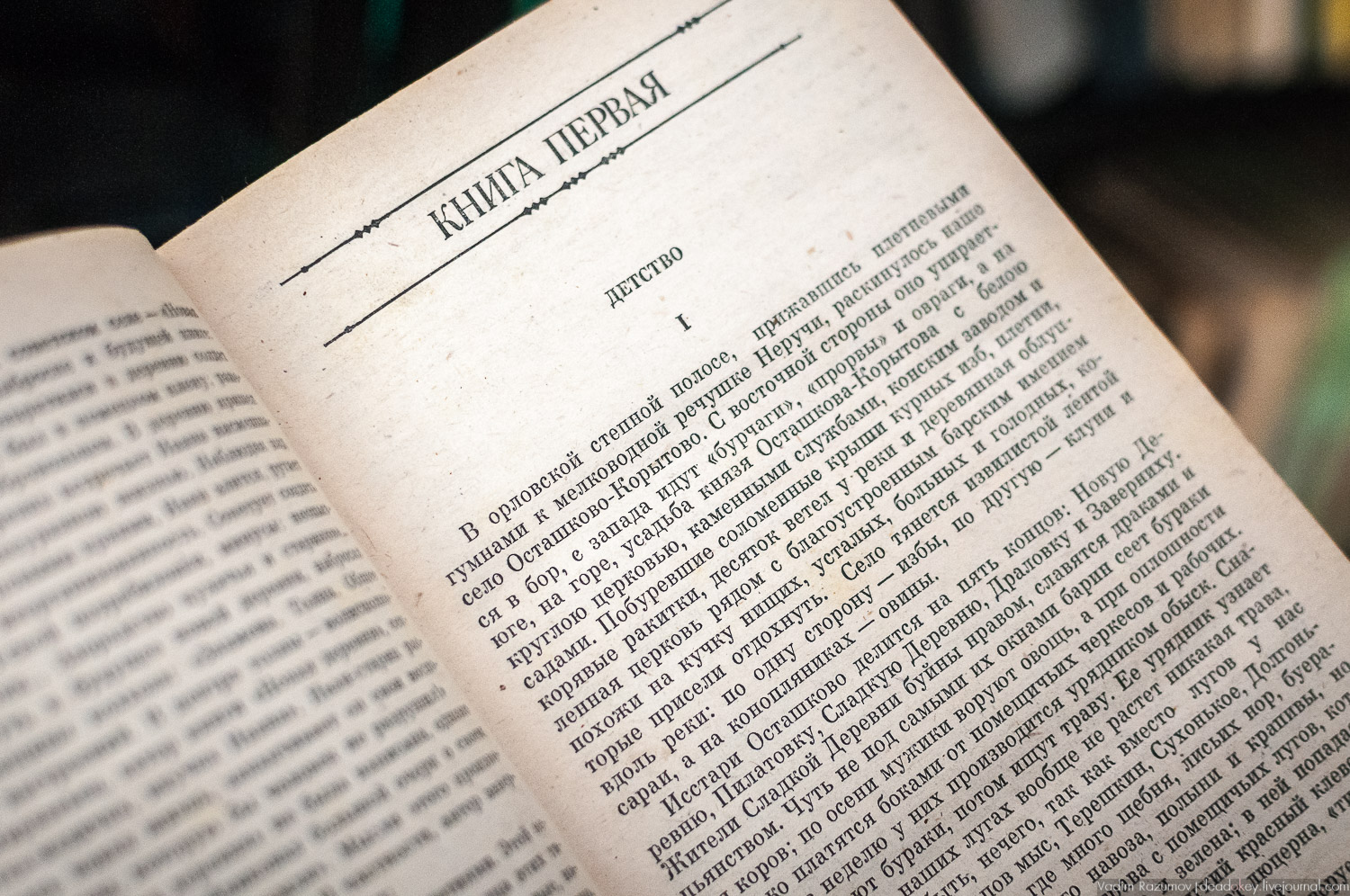 усадьба Моховое, Орловская область