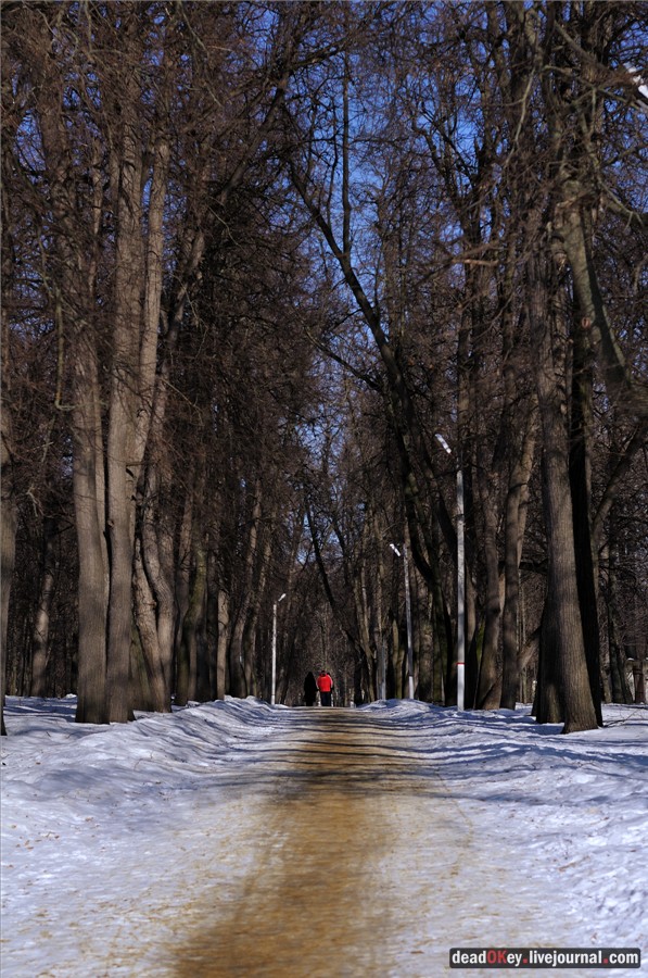 усадьба Кривякино