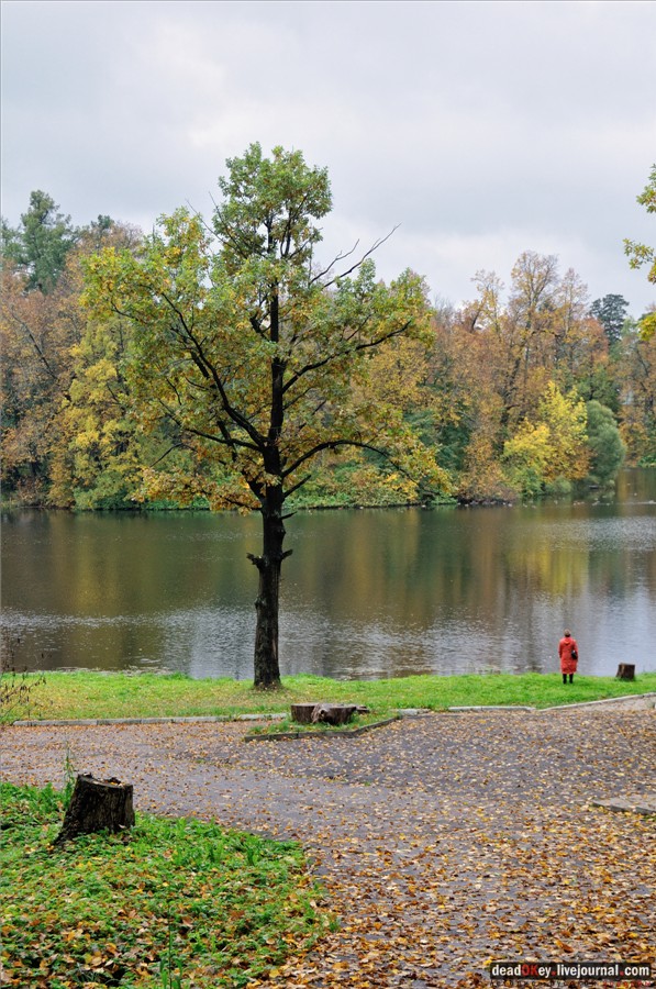 усадьба Марфино