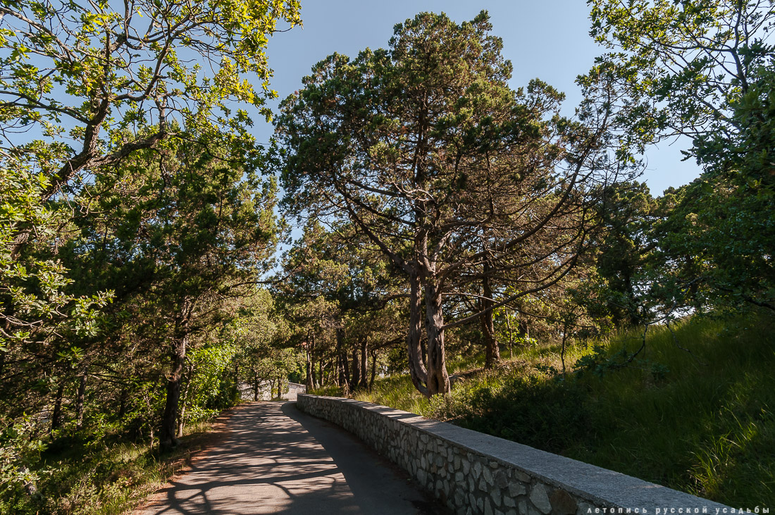 Харакс, Крым, санаторий Днепр