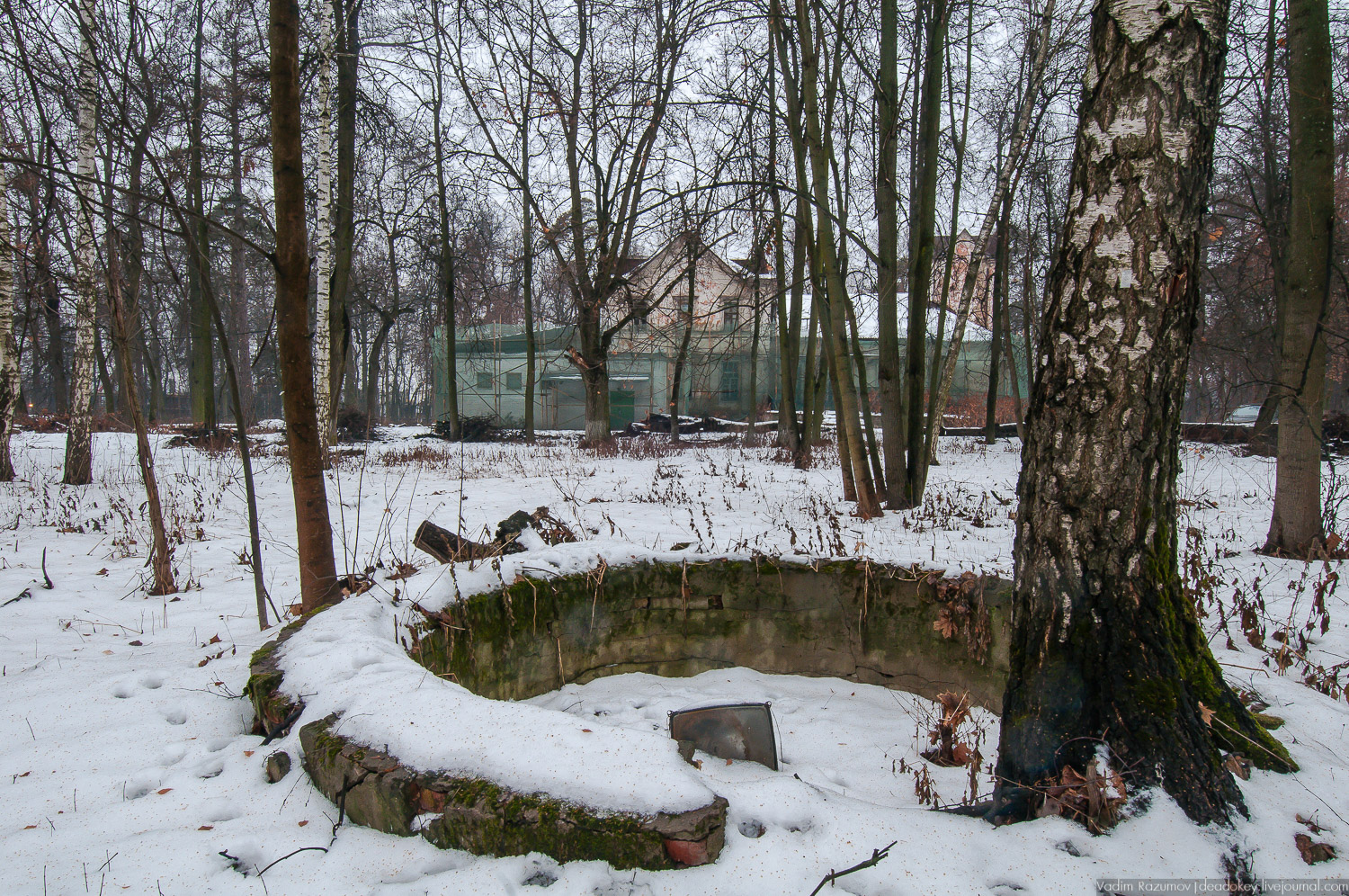 усадьба Салазкино, Видное, Московская область